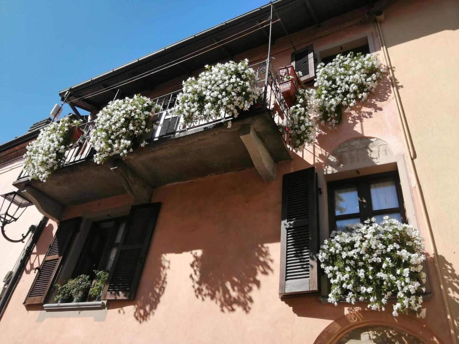 Holiday House Antica Dimora Soggiorni In Langa Centro Storico ลามอร์รา ภายนอก รูปภาพ